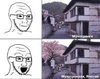1000009229.jpg