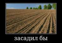 17548713404282.jpg