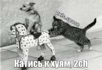 vYVrki469wC3GJmn.png