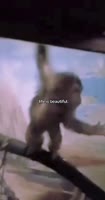 life is beautiful.mp4