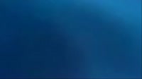 terpenie.js.mp4