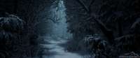 rob-wildenburg-winter-wonderland.jpg