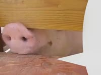 6fc6c51ff5beb0fe796c318e2ee47fad.mp4