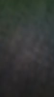 17415503826700.mp4