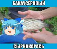 16227265358030.jpg