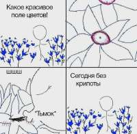 17083548055830.webp