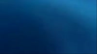 normi.mp4