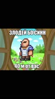 17313403738350.mp4