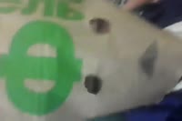 17274674430110.webm