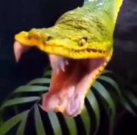 17520131085770.mp4
