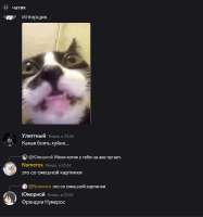 Untitled7.png