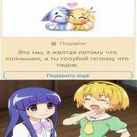 17555904896980.jpg