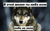 6ce2e88d77c2b2dfd97d0fd4e84ee1bf.jpg