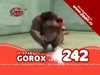 17467313768870.mp4