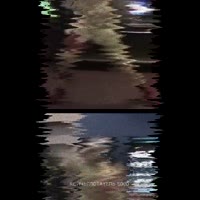 17559039554372.mp4