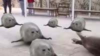 16240421414431.mp4
