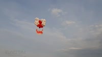 9ff83f37d1.mp4