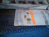 2011-08-13-001.jpg
