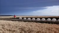 16240421414431.mp4