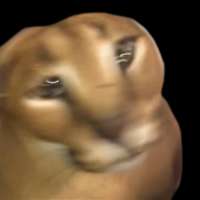 16165807859910.gif