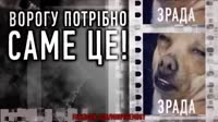 16244237849340.webm
