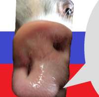 16255137500530.jpg