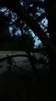 одобренная для форума двач белорусская хунта.MP4