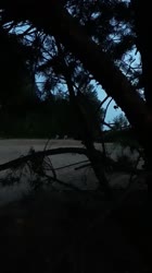 Стральба ля мяжы?.mp4