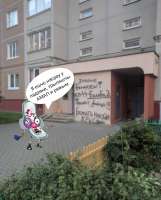 падик.jpg