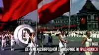 15364328869340.mp4