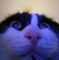 16182562122440.jpeg