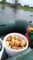 подводная картоха.mp4