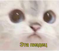16072081468920.jpg