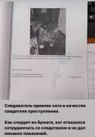 t4E69FjKlqLyIoJcZslqiu7-C-42gweVsNhg085qCtJG4lbOzwu5REjGXPI[...].jpg