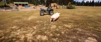 16304348914660.mp4