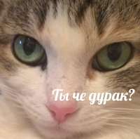 16300352093510.jpg