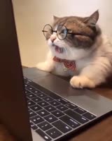 15825627275510.mp4