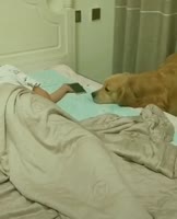 1583228915036.webm