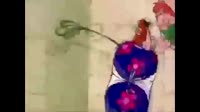 15840360815390.mp4