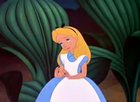 17401008851411.webm