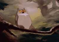owl-spin.gif