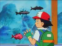 i-wonder-if-the-pokemon-world-was-supposed-to-be-a-mix-of-v0-ip648n7iks3d1.webp