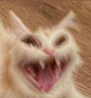 cursedyellingwhitecatmemebasebylyaidemonde4aqtj-pre.jpg