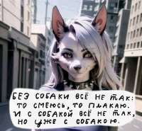 sobakakrutaya.jpg