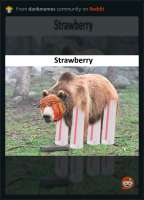 373D8298-3A40-4FDF-9C03-732E93755178.jpeg