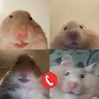 4533635.png