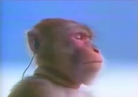 00001 (10).mp4