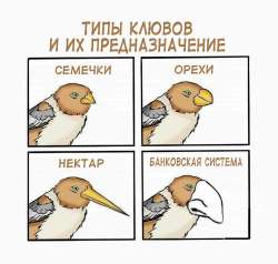 1682783507164189306.jpg