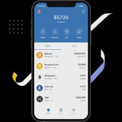 6363e92c59ed155dd52766e1Set up trust wallet.webp