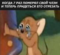 IMG20250614220308277.jpg